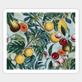 Vintage Fruit Pattern on pale blue Sticker